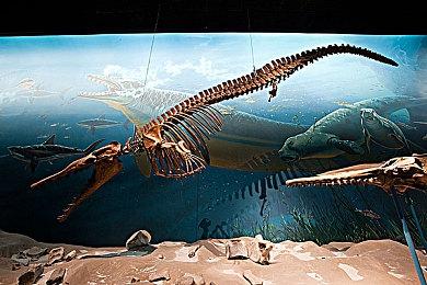 匹配对战的三国志？《三国之志4》STEAM商店页面公布